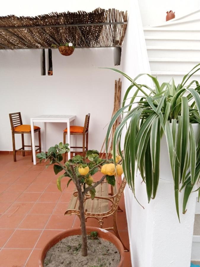 Casa Da Umbria Panzió Odemira Kültér fotó